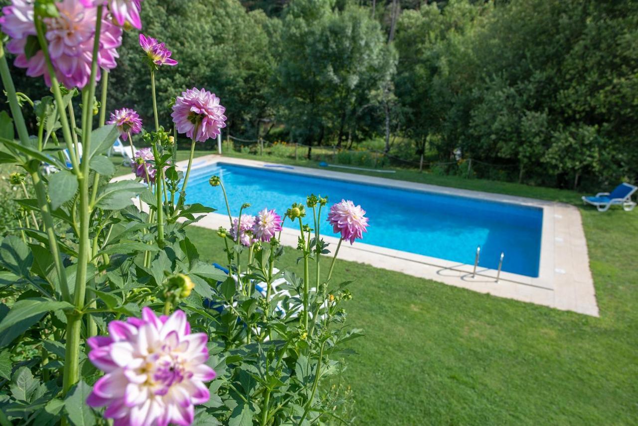 Quinta Da Rabacosa - Turismo Rural Castro Daire Kültér fotó