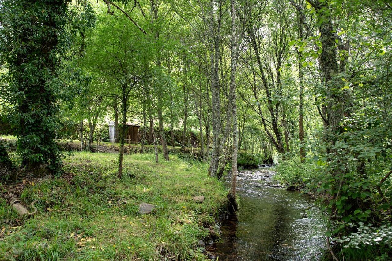 Quinta Da Rabacosa - Turismo Rural Castro Daire Kültér fotó