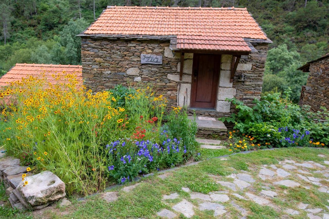 Quinta Da Rabacosa - Turismo Rural Castro Daire Kültér fotó