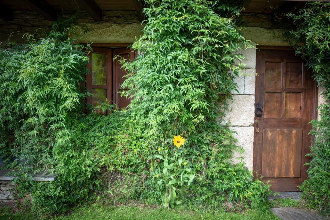 Quinta Da Rabacosa - Turismo Rural Castro Daire Kültér fotó