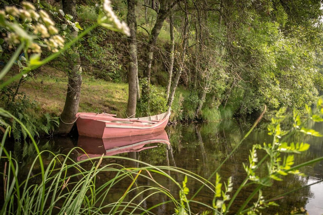 Quinta Da Rabacosa - Turismo Rural Castro Daire Kültér fotó