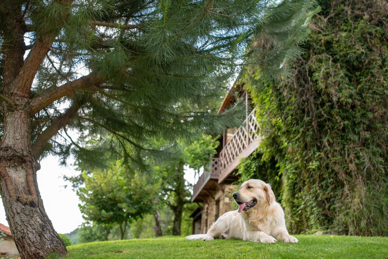 Quinta Da Rabacosa - Turismo Rural Castro Daire Kültér fotó