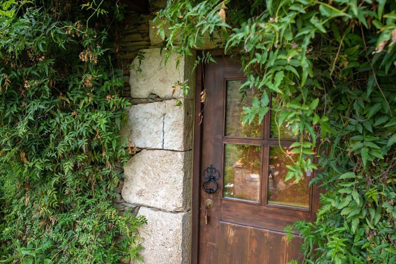 Quinta Da Rabacosa - Turismo Rural Castro Daire Kültér fotó