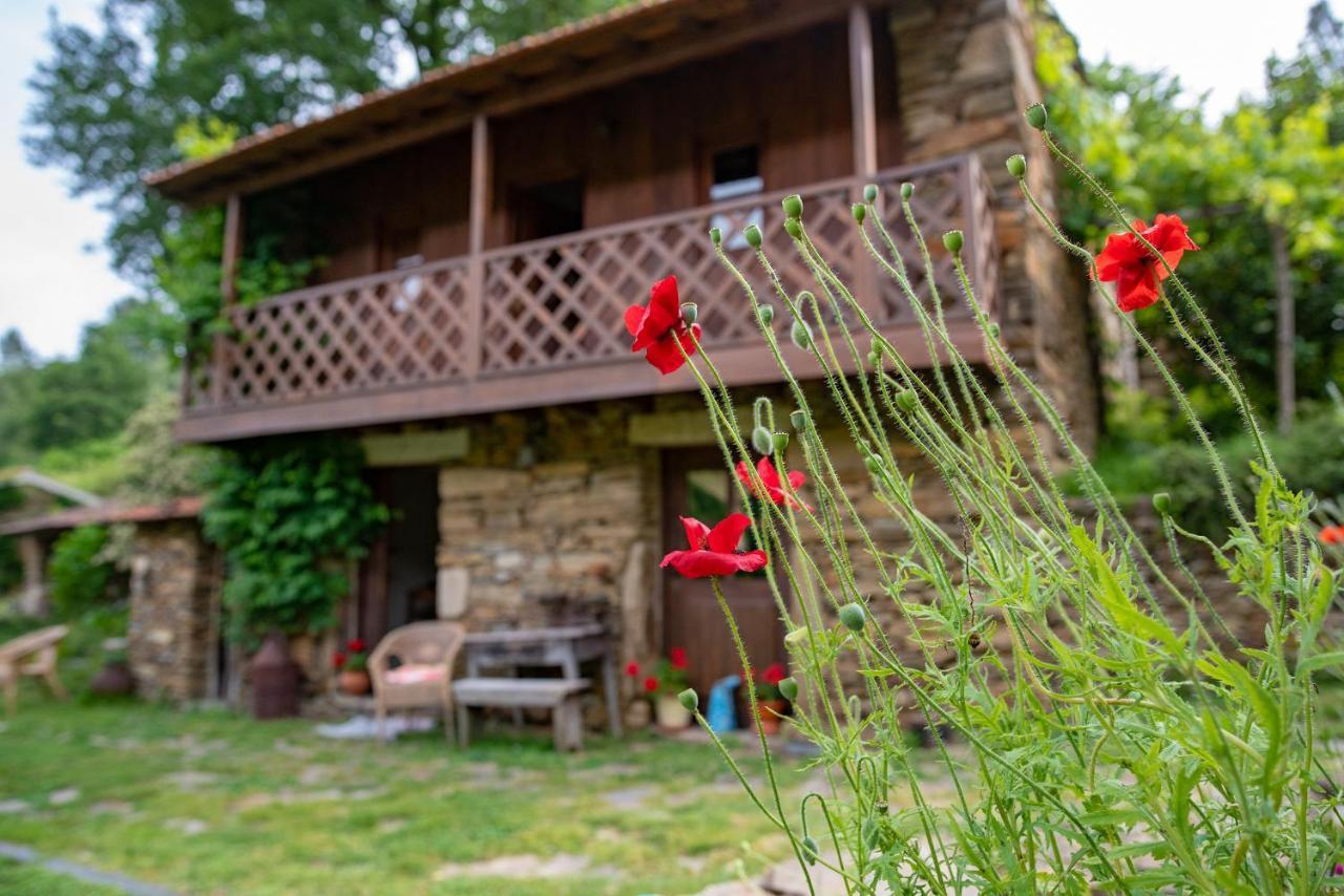 Quinta Da Rabacosa - Turismo Rural Castro Daire Kültér fotó